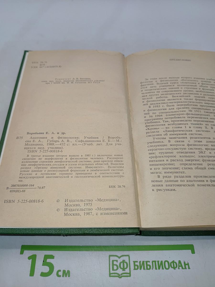 Анатомия и физиология