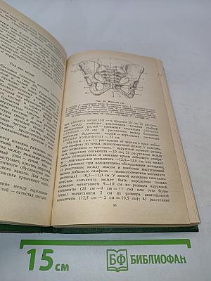 Анатомия и физиология