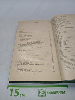 Анатомия и физиология
