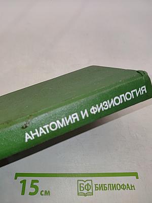 Анатомия и физиология