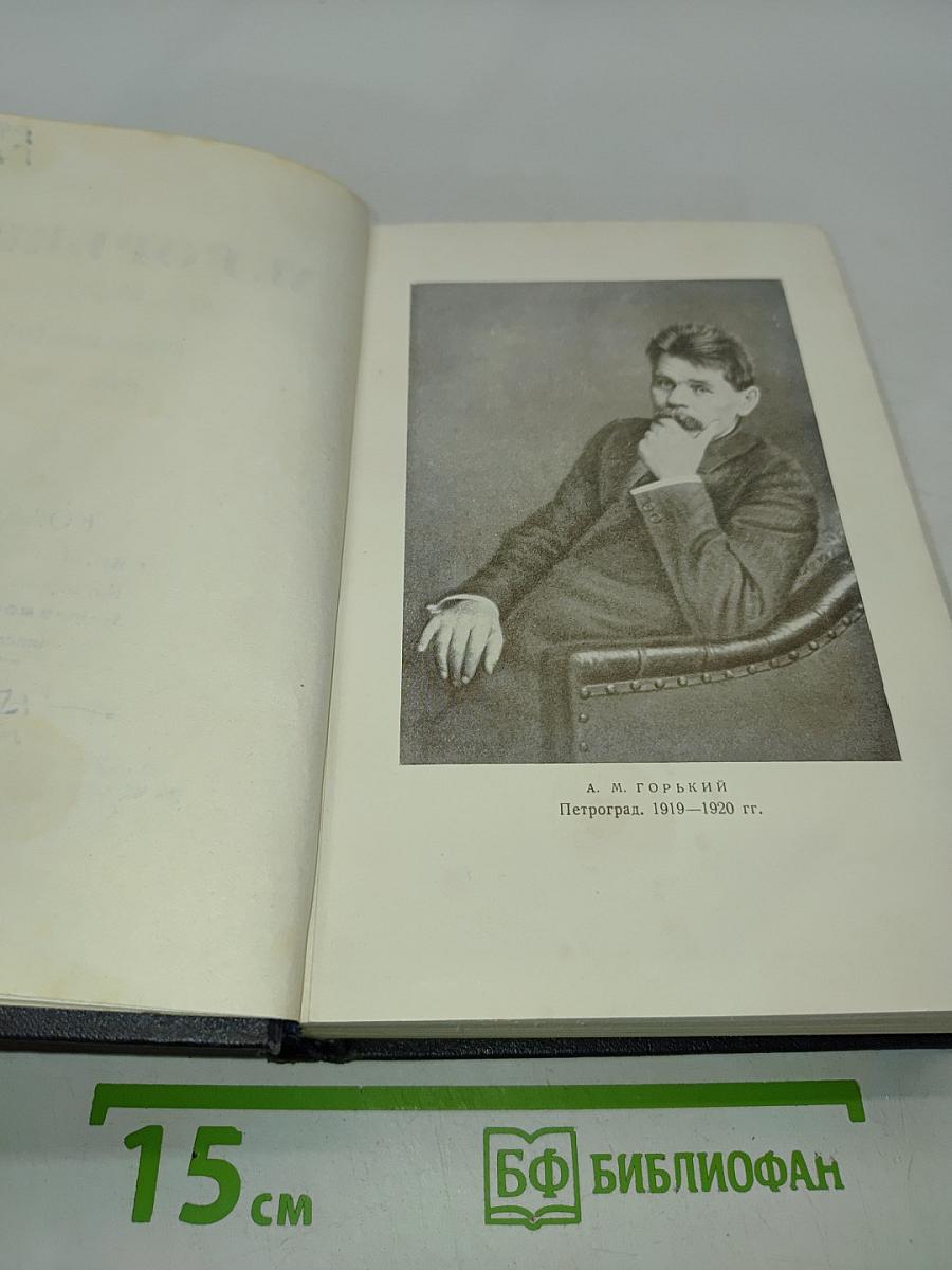 Собрание сочинений в тридцати томах. Том 13. Повести 1913-1923