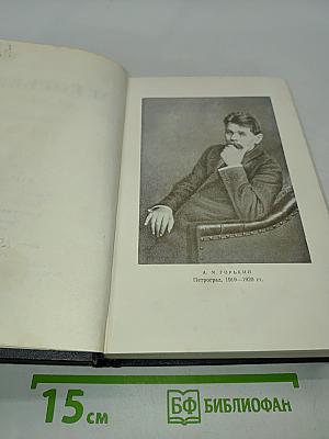 Собрание сочинений в тридцати томах. Том 13. Повести 1913-1923