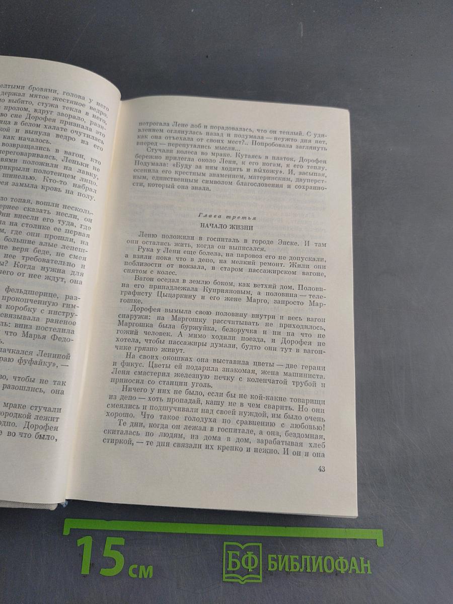 Собрание сочинений в пяти томах. Том третий. Времена года. Сентиментальный роман
