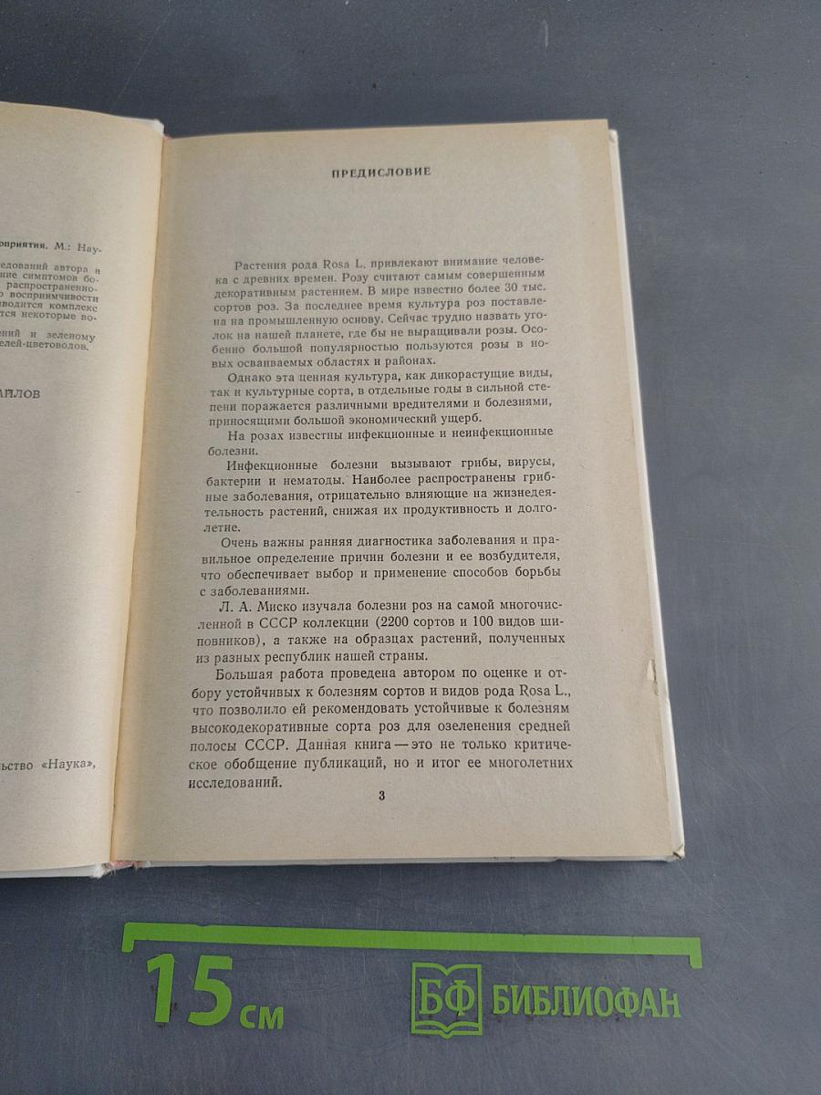 Розы: болезни и защитные мероприятия