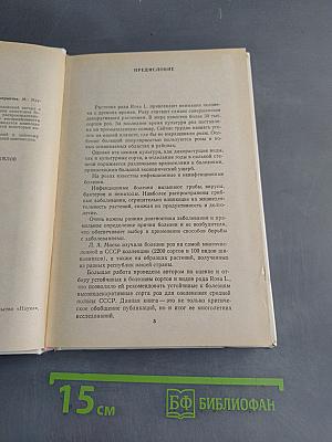 Розы: болезни и защитные мероприятия