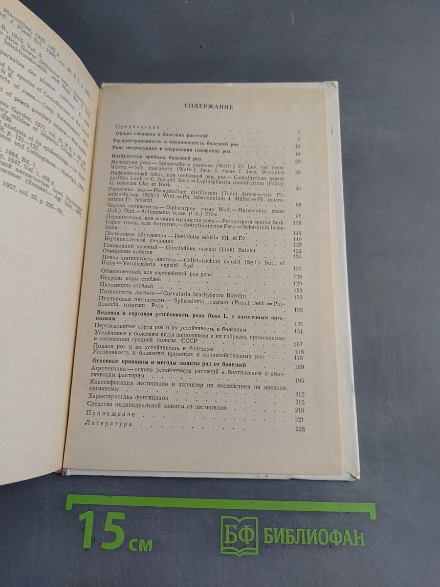 Розы: болезни и защитные мероприятия