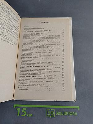 Розы: болезни и защитные мероприятия