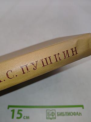 Полное собрание сочинений в десяти томах. Том девятый. История Петра. Заметки о Камчатке