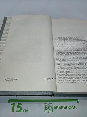 Пряслины