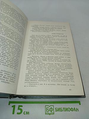 Пряслины