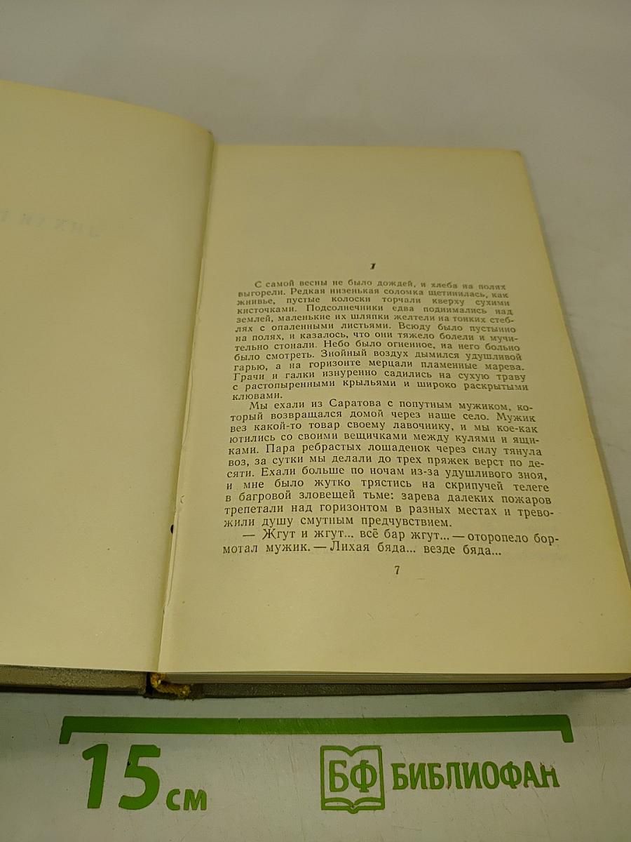 Собрание сочинений в восьми томах. Том 8. Лихая година. Воспоминания, литературные портреты, статьи