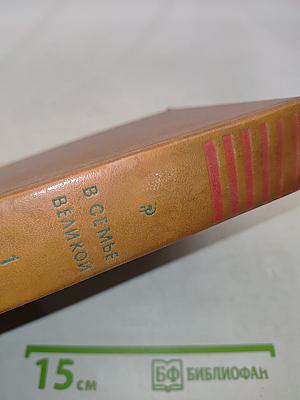 В семье великой. Рассказы советских писателей. Том первый