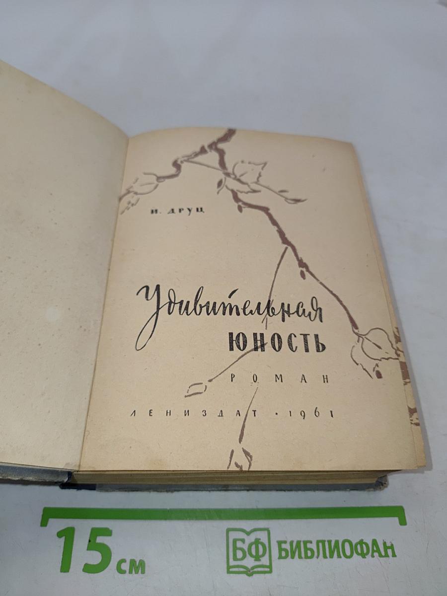 Удивительная юность