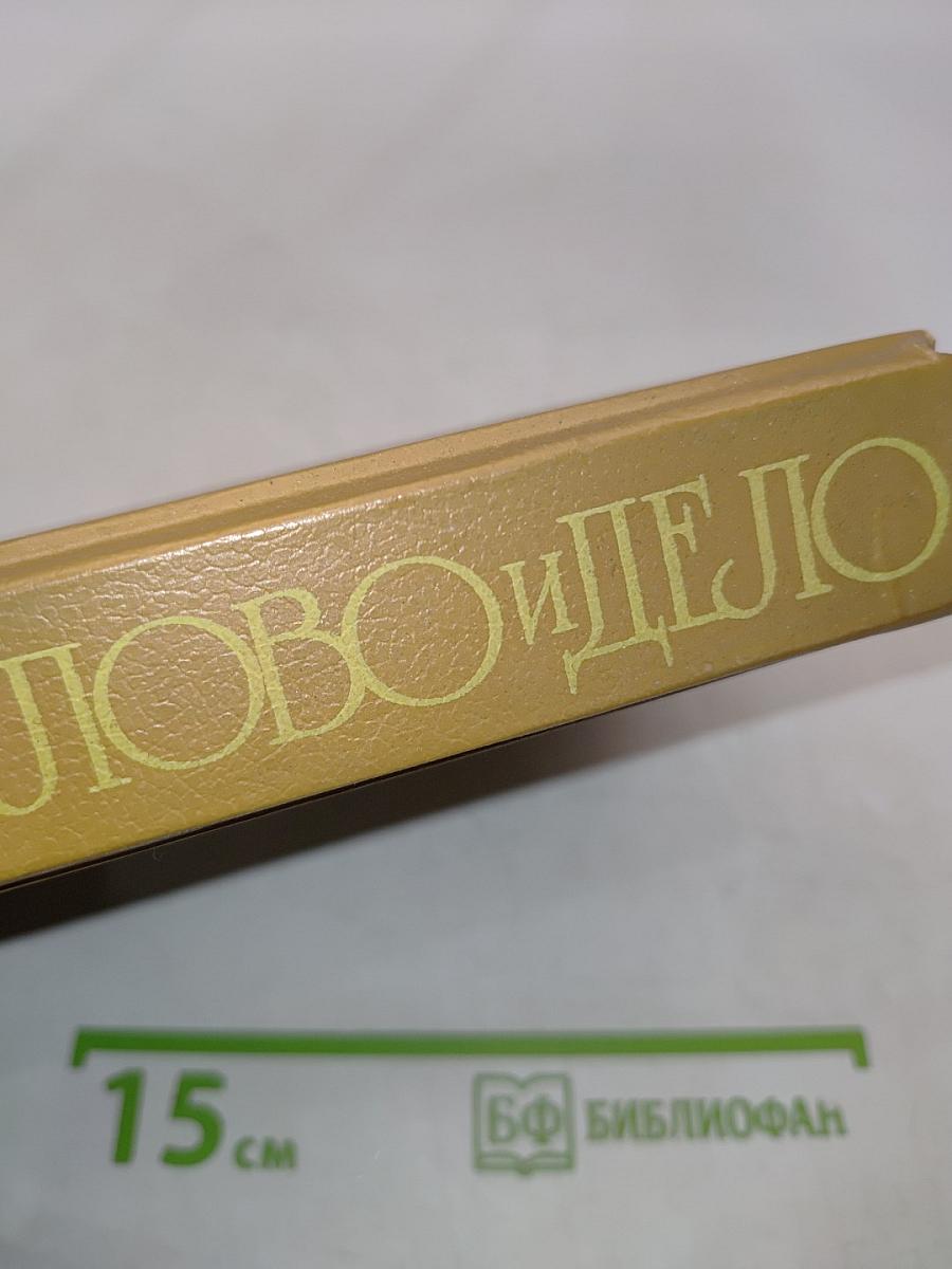 Слово и дело. Роман-хроника времен Анны Иоанновны. Книга 2. Мои любезные конфиденты
