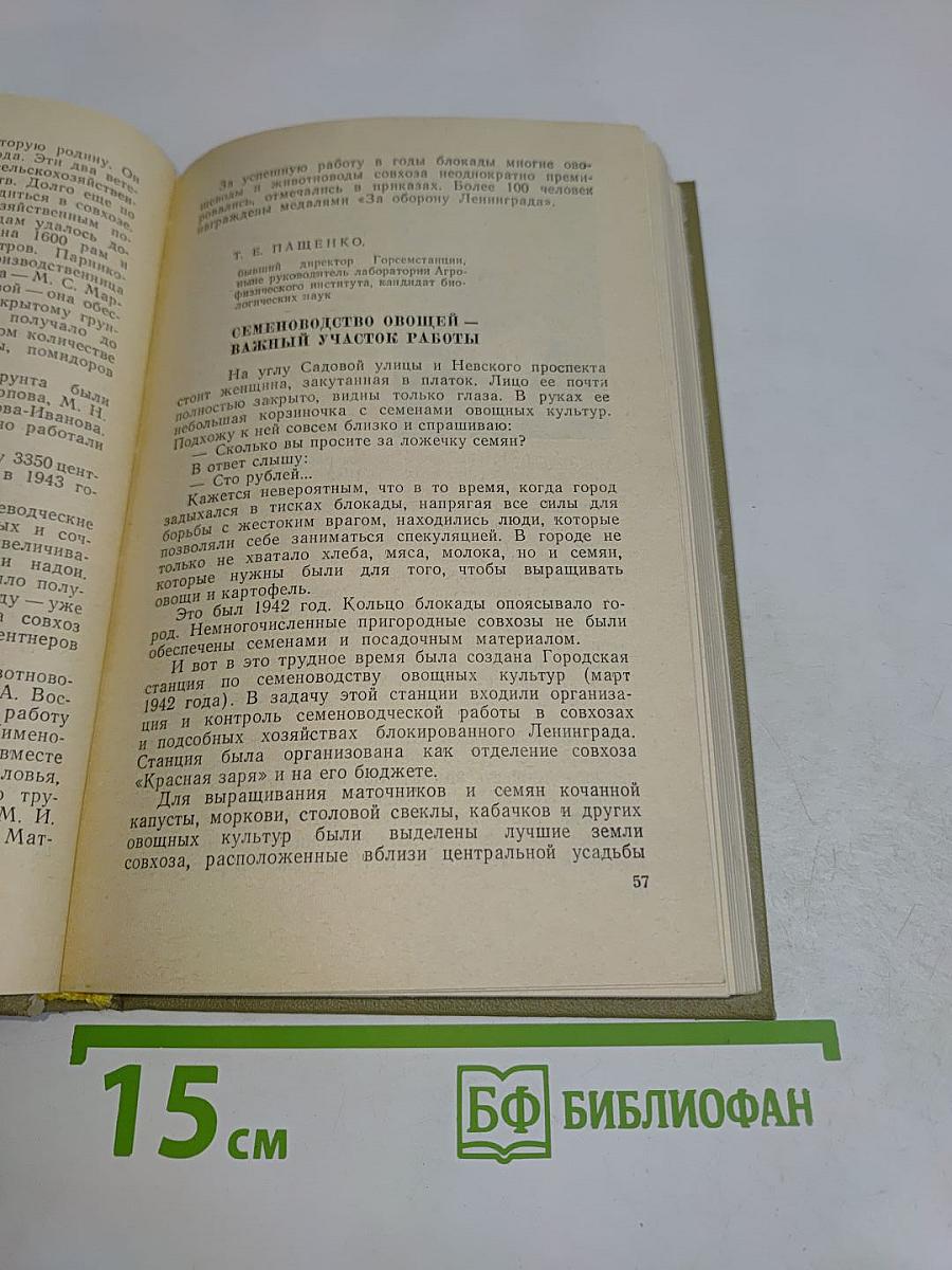 В осажденном Ленинграде