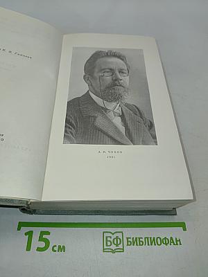 Собрание сочинений. Том двадцать пятый. Письма 1898-1904