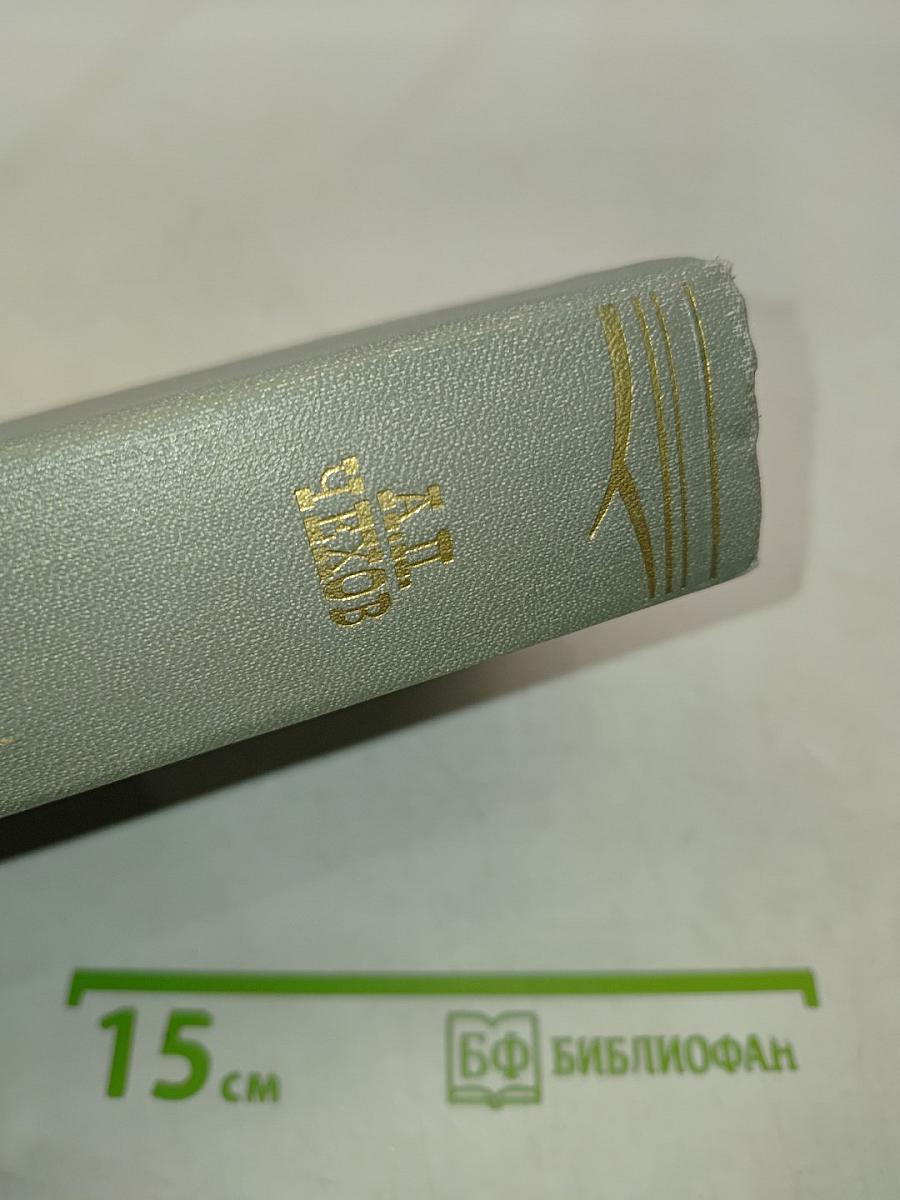 Собрание сочинений. Том двадцать пятый. Письма 1898-1904