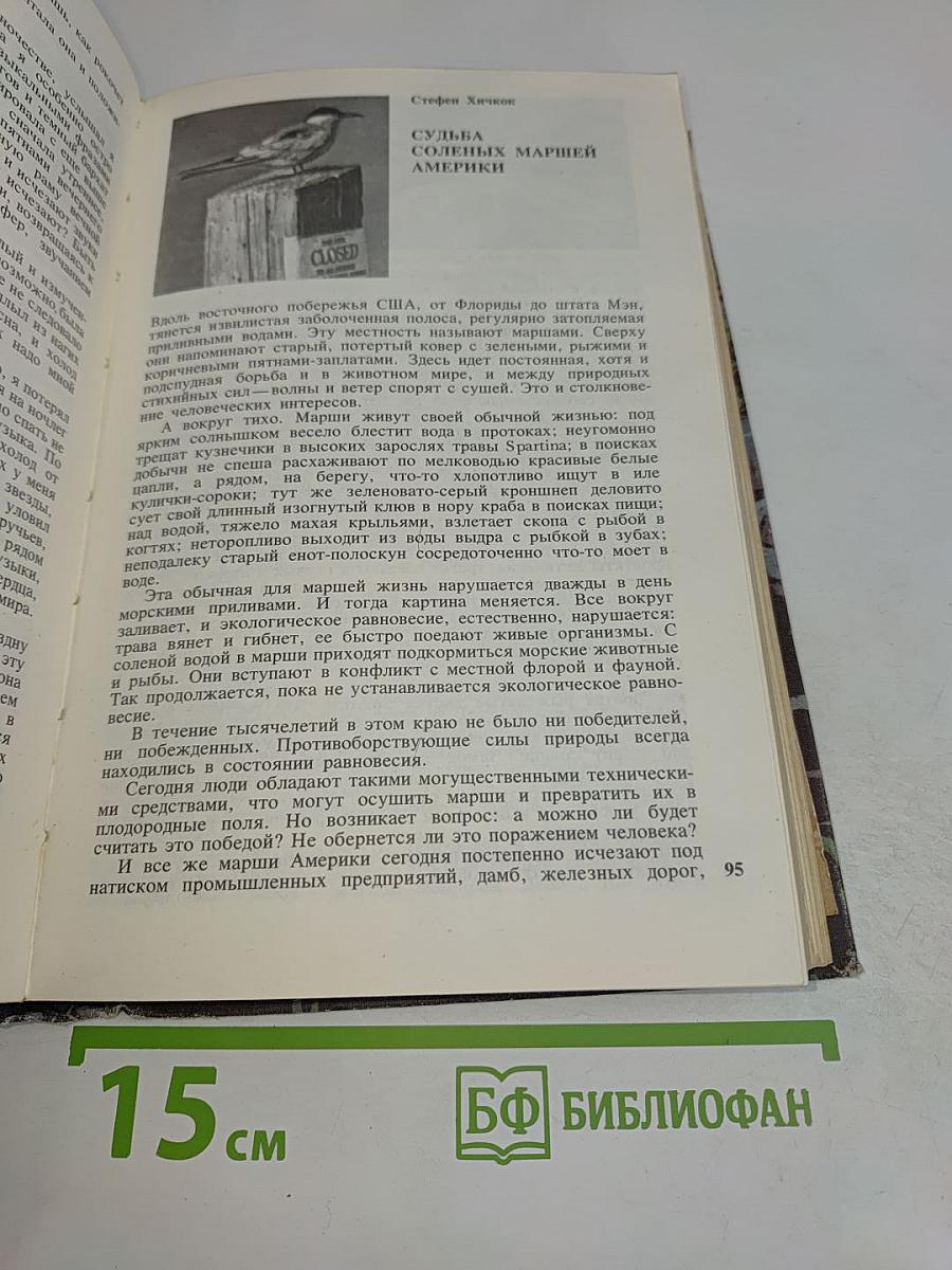 На суше и на море
