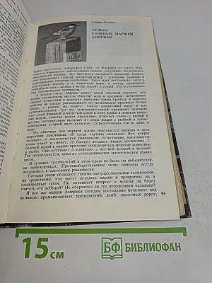 На суше и на море
