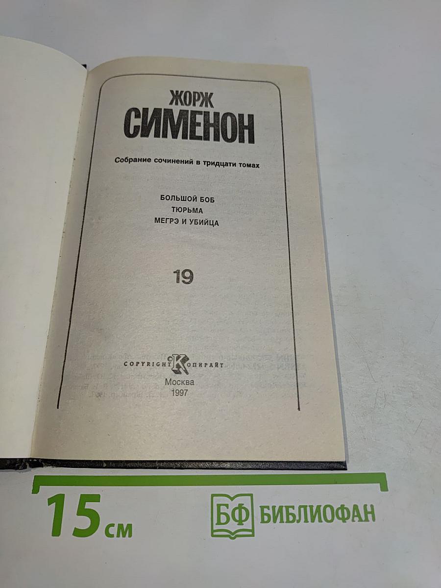 Собрание сочинений в тридцати томах. Том 19