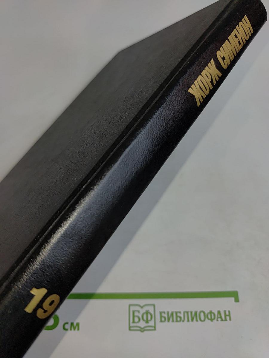 Собрание сочинений в тридцати томах. Том 19