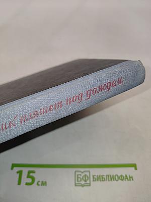 Мальчик пляшет под дождем