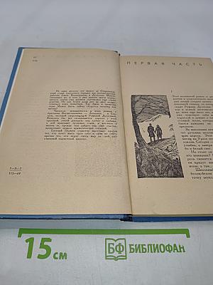Последние заморозки