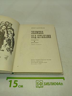 Знамена над штыками