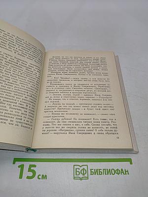 Знамена над штыками