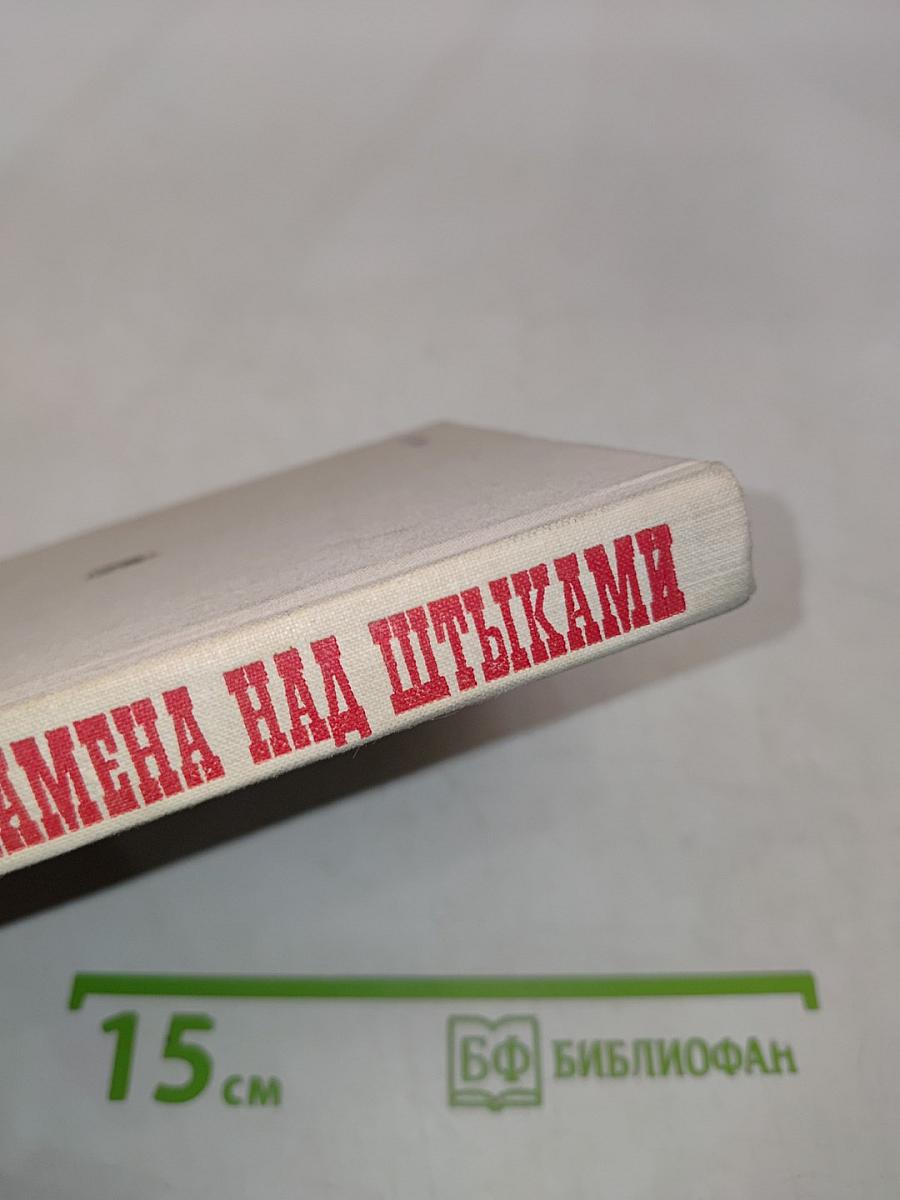 Знамена над штыками