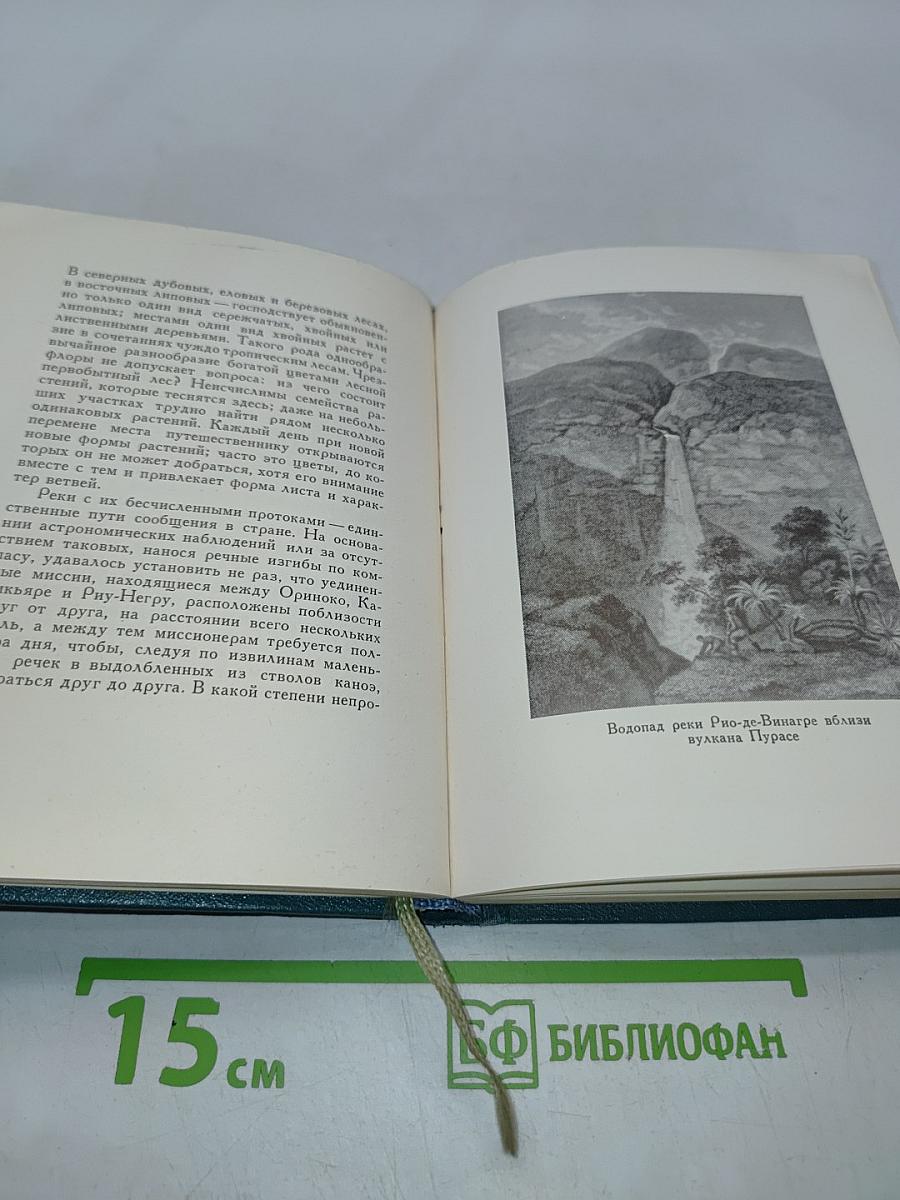 Картины природы