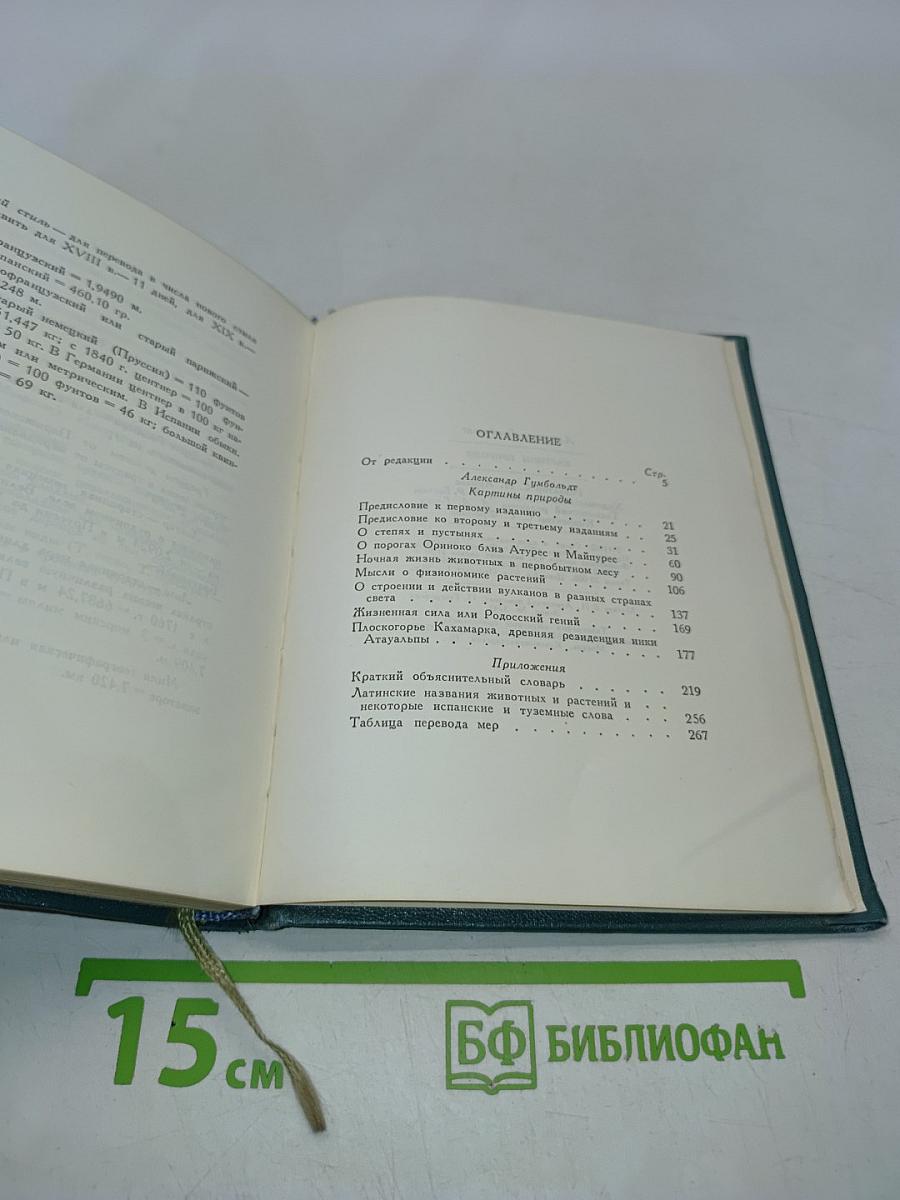 Картины природы