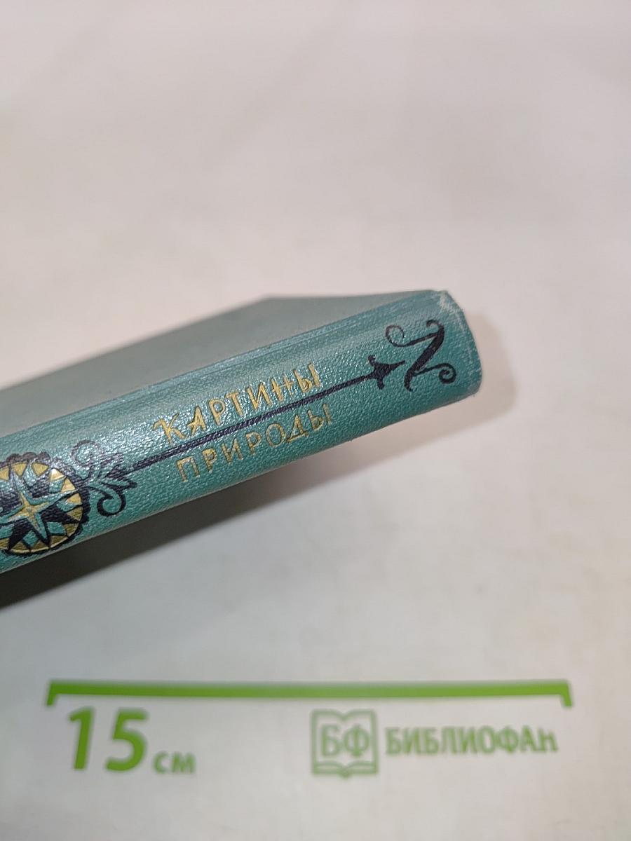 Картины природы