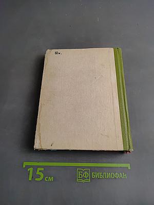 Школа. Тимур и его команда