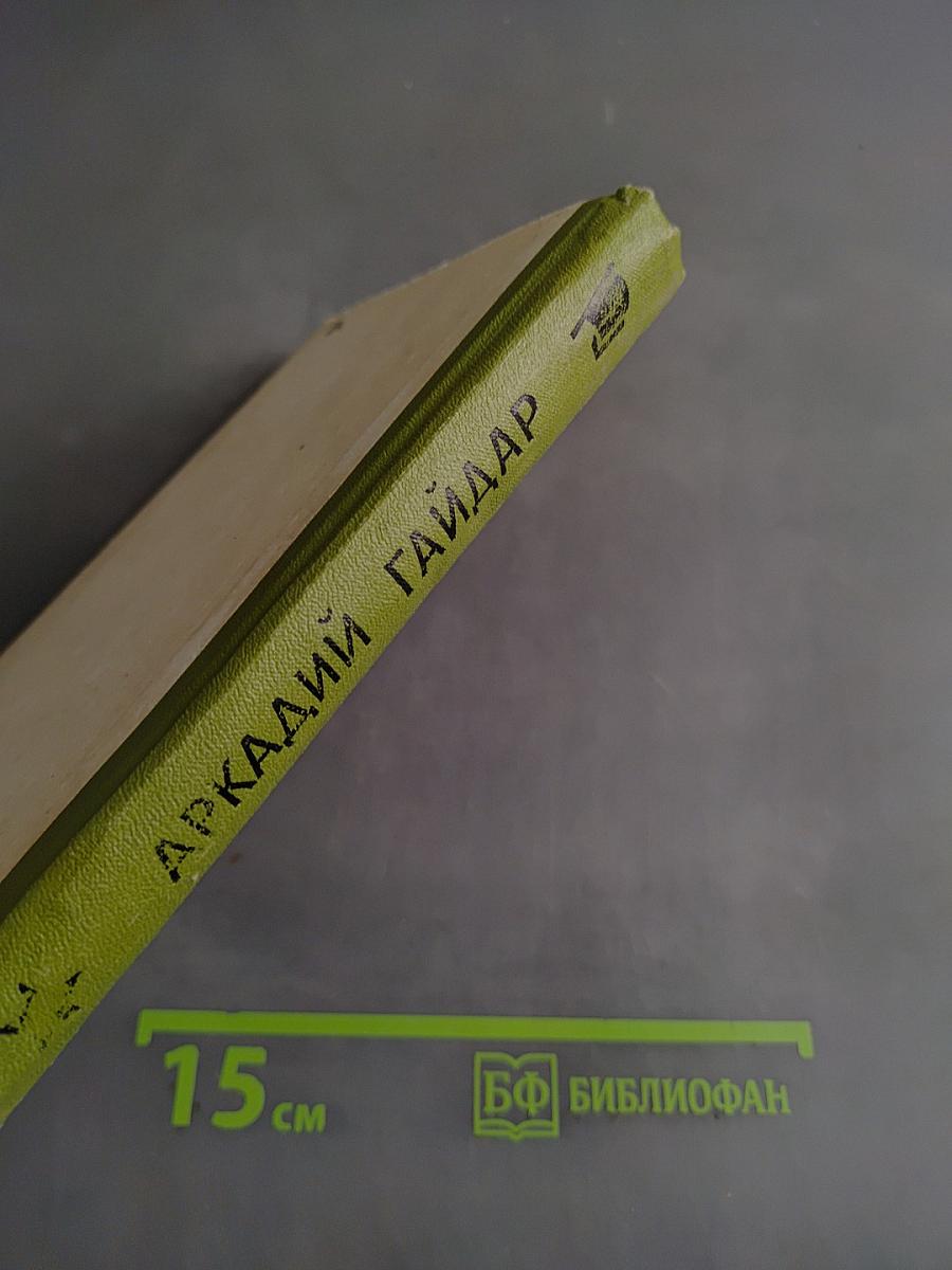 Школа. Тимур и его команда