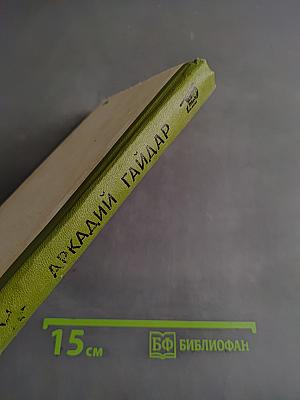 Школа. Тимур и его команда