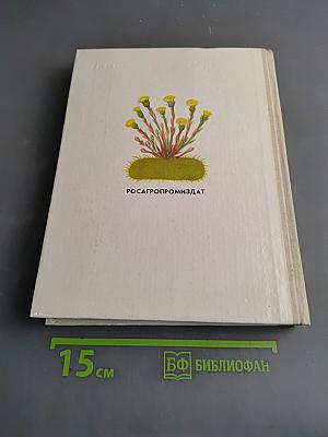 Лекарственные растения в быту