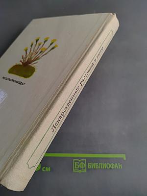 Лекарственные растения в быту