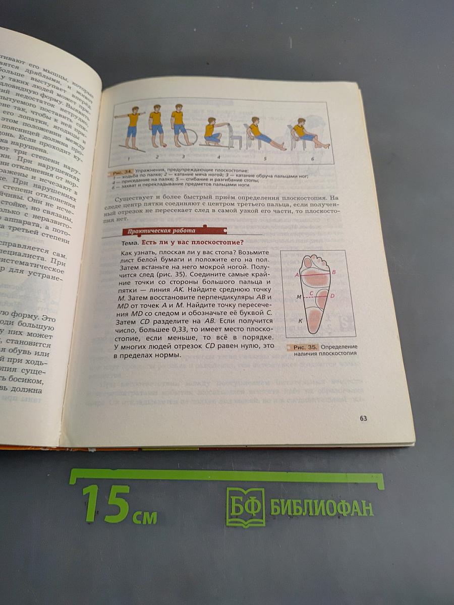 Биология. 8 класс