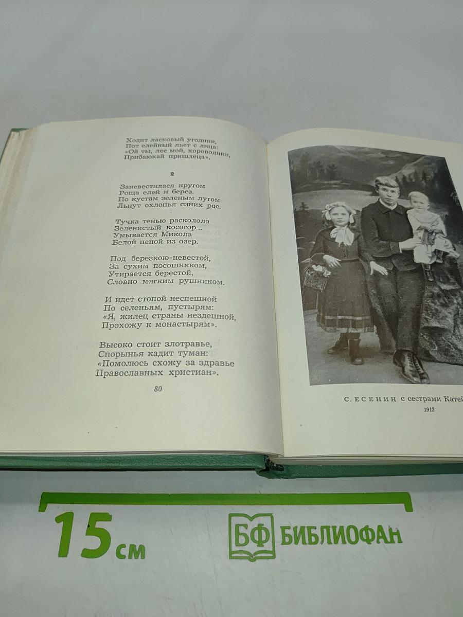 Собрание сочинений в пяти томах. Том первый. Стихотворения и поэмы (1910-октябрь 1917)