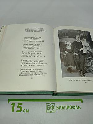 Собрание сочинений в пяти томах. Том первый. Стихотворения и поэмы (1910-октябрь 1917)