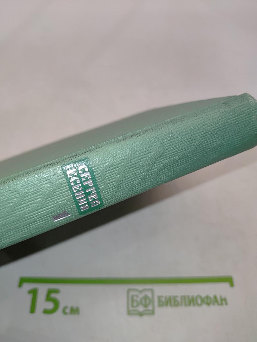 Собрание сочинений в пяти томах. Том первый. Стихотворения и поэмы (1910-октябрь 1917)