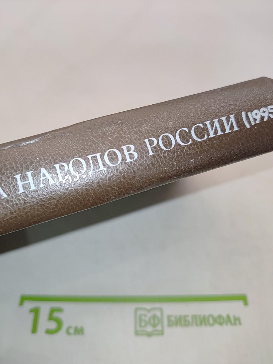 Литература народов России. Учебник-хрестоматия для 9-11 классов