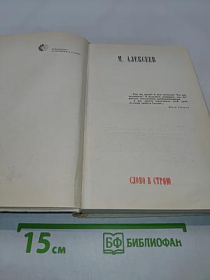 Слово в строю
