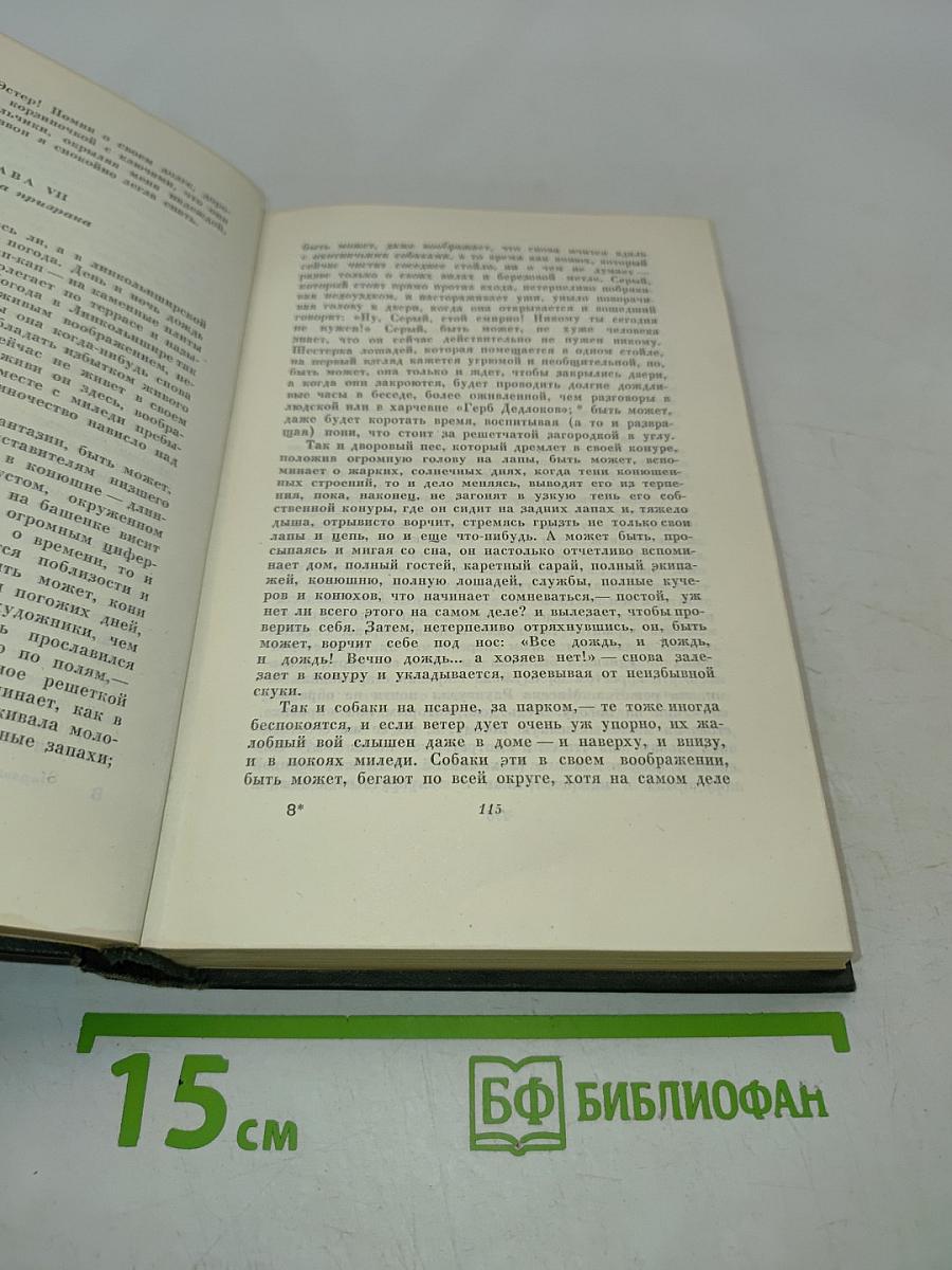 Собрание сочинений. Том семнадцатый. Холодный дом