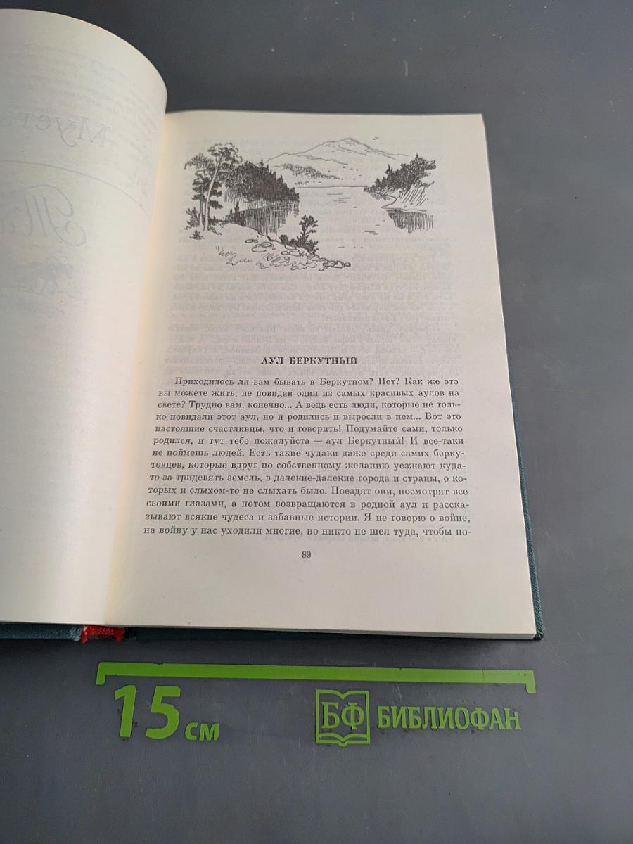 Библиотека пионера