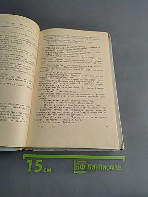 Армия Трясогузки