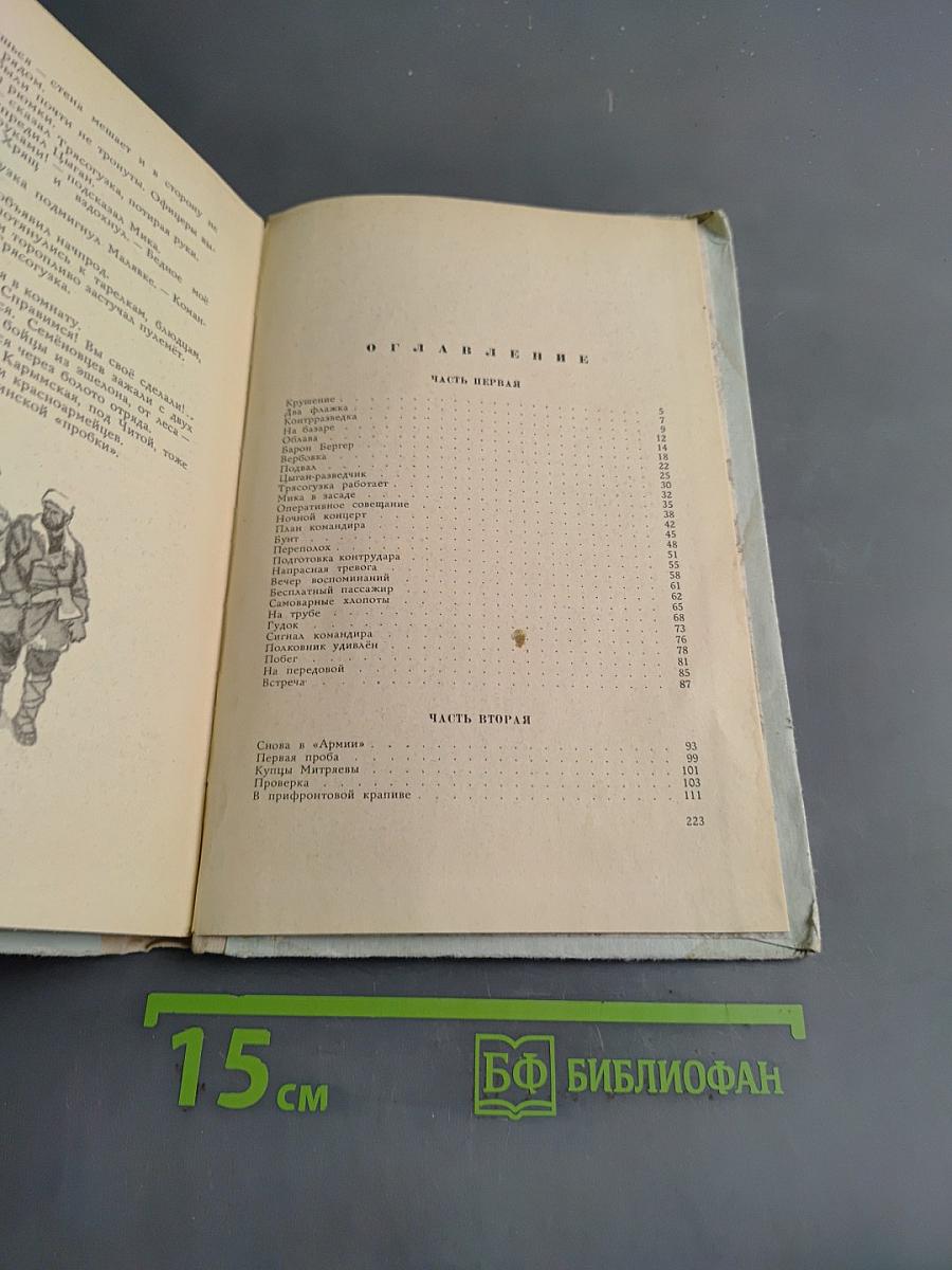 Армия Трясогузки