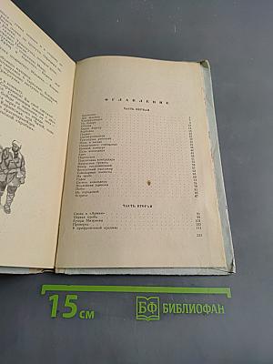 Армия Трясогузки