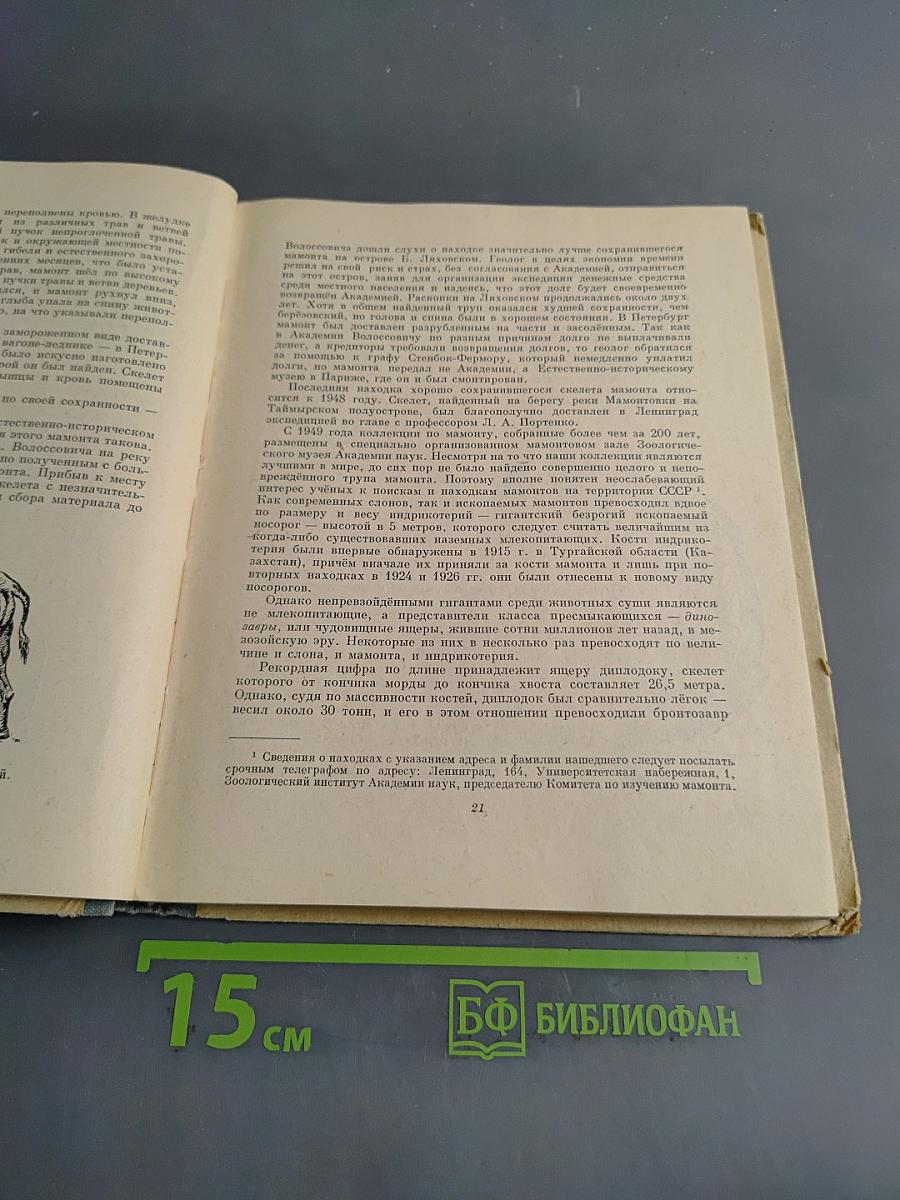 Занимательная зоология. Очерки и рассказы о животных. Пособие для учащихся средних классов